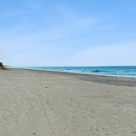 Beautiful beach on the property