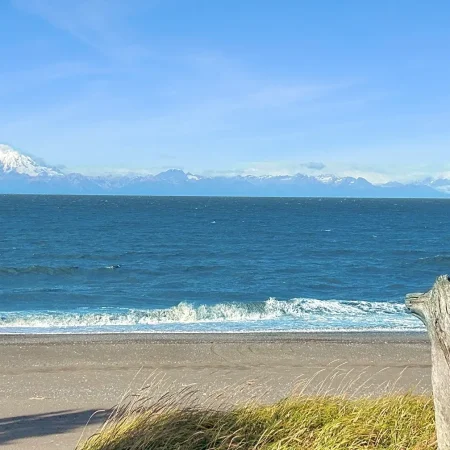 Your Backyard is the Cook Inlet